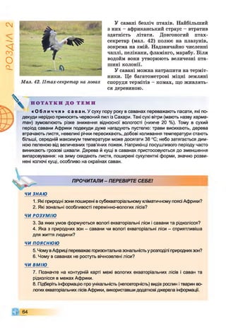 І
ZlVSO
Мал. 42. Птах-секретар на ловах
У савані безліч птахів. Найбільший
з них - африканський страус - втратив
здатність літати. Довгоногий птах-
секретар (мал. 42) полює на плазунів,
зокрема на змій. Надзвичайно численні
чаплі, пелікани, фламінго, марабу. Біля
водойм вони утворюють величезні пта­
шині колонії.
У савані можна натрапити на терміт­
ники. Це багатометрові міцні земляні
споруди термітів - комах, що живлять­
ся деревиною.
V Н О Т А Т К И Д О Т Е М И
« О б л и ч ч я » с а в а н . У суху пору року в саванах переважають пасати, які по­
декуди нерідко приносять червоний пил із Сахари. Такі сухі вітри (мають назву харма-
тан) зумовлюють різке зниження відносної вологості (нижче 20 %). Тому в сухий
період савани Африки подекуди дуже нагадують пустелю: трави висихають, дерева
втрачають листя, невеликі річки пересихають, добові коливання температури стають
більші, середній максимум температури може досягати 38 °С; небо затягається дим­
ною пеленою від величезних трав’яних пожеж. Наприкінці посушливого періоду часто
виникають грозові шквали. Дерева й кущі в саванах пристосовуються до зменшення
випаровування: на зиму скидають листя, поширені сукулентні форми, значно розви­
нені колючі кущі, особливо на окраїнах саван.
ЧИ ЗНАЮ
ПРОЧИТАЛИ- ПЕРЕВІРТЕ СЕБЕ!
1. Які природні зони поширені в субекваторіальному кліматичному поясі Африки?
2. Які зональні особливості перемінно-вологих лісів?
ЧИ РОЗУМІЮ
3. За яких умов формуються вологі екваторіальні ліси і савани та рідколісся?
4. Яка з природних зон - савани чи вологі екваторіальні ліси - сприятливіша
для життя людини?
ЧИ п о я с н ю ю
5. Чому в Африці переважає горизонтальна зональність у розподілі природнихзон?
6. Чому в саванах не ростуть вічнозелені ліси?
ЧИ ВМІЮ
7. Позначте на контурній карті межі вологих екваторіальних лісів і саван та
рідколісся в межах Африки.
8. Підберіть інформацію про унікальність (неповторність) видів рослин і тварин во­
логих екваторіальних лісів Африки, використавши додаткові джерела інформації.
64
 