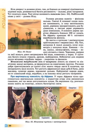 І
ZlVSO
Біля джерел і в долинах річок, там, де близько до поверхні піднімаються
підземні води, розвивається багата рослинність - пальми, різні чагарники.
Тут селяться люди. Такі місця називають оазисами (мал. 44). Найбільший
оазис у світі - долина Нілу.
Головна рослина оазисів - фінікова
пальма. Смачні й поживні плоди паль­
ми споживають, із соку виготовляють
напої, деревину використовують для бу­
дівництва, а листям дерев укривають
дахи помешкань. З кожного дерева що­
річно збирають близько 100 кг плодів.
На Африку припадає 40 % світового
виробництва фініків.
До життя в пустелях і напівпустелях
пристосувалися і тварини (мал. 45). Так,
антилопи й газелі долають сотні кіло­
метрів у пошуках води. Хижаки - гіє­
на, шакал, лисиця-фенек, гепард - во-
Мал. 44. Оазис логу дістають з їжею. Черепахи, ящірки
та змії можуть довго витримувати без води, ховаючись у норах. У пусте­
лях багато птахів: страуси, дрохви, жайворонки. Небезпечні для людини
укуси місцевих отруйних тварин - скорпіона та фаланги.
Вічнозелені твердолисті ліси й чагарники лежать на півночі та пів­
нічному заході материка, де формуються на коричневих ґрунтах. Рослини
добре пристосувалися до сухого літа: мають тверде листя й колючки, що
випаровують мало вологи. Тут ростуть африканські види дуба й бука, дика
маслина, суничне дерево, карликові пальми. Найцінніші породи дерев,
як-от ліванський кедр, вирубано, а на їхньому місці ростуть чагарники.
Про вертикальну поясність гір Африки. У горах Африки чітко про­
стежується вертикальна поясність: з підняттям угору ліси змінюються
саванами, які ще вище поступаються лукам. На вершинах гір, розташо­
ваних навіть на екваторі, лежать багаторічні сніги.
Сурикати
Мал. 45. Мешканці пустель і напівпустель
66
 