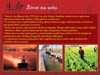 Život na selu Najveći deo Kineza (oko 70%) živi na selu. Seljaci obrađuju zemlju koja je uglavnom kolektivna, ljudi rade zajedno i dele prinose sa državom. U značajne useve spada pirinač, koji je glavna hrana na jugu, i pšenica koja se koristi za pravljenje hleba i rezanaca na severu. Proso, čaj, povrće, soja i pamuk takođe se uzgajaju. Mnogi seljaci gaje svinje, patke i piliće. Međutim, njihova proizvodnja nije dovoljna da prehrane brojne porodice.  Seljaci žive na rubu egzistencije sa minimalnim sredstvima za život i svi oni sanjaju da jednog dana odu u Peking, Šangaj ili neki drugi veliki grad. U pojedinim ruralnim područjima Kine izgleda kao da je vreme stalo i da ljudi žive nekoliko vekova unazad.  