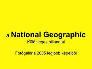 a  National Geographic Különleges pillanatai Fotógaléria 2005 legjobb képeiből 