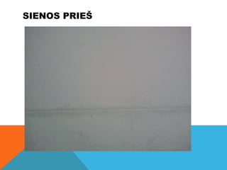 SIENOS PRIEŠ
 