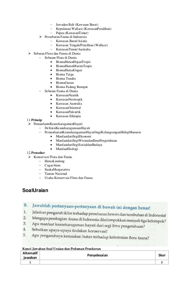 Contoh Soal Hots Geografi Flora Fauna Kumpulan Materi Pelajaran Dan Contoh Soal 1