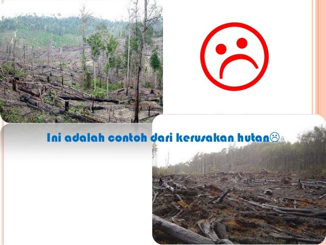 Kerusakan Lingkungan Hidup