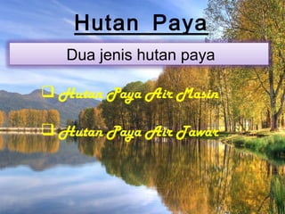 Hutan Paya
   Dua jenis hutan paya

 Hutan Paya Air Masin

 Hutan Paya Air Tawar
 