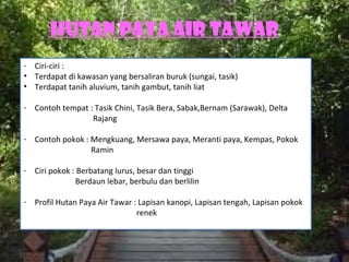 Hutan Paya Air Tawar
- Ciri-ciri :
• Terdapat di kawasan yang bersaliran buruk (sungai, tasik)
• Terdapat tanih aluvium, tanih gambut, tanih liat

- Contoh tempat : Tasik Chini, Tasik Bera, Sabak,Bernam (Sarawak), Delta
                 Rajang

- Contoh pokok : Mengkuang, Mersawa paya, Meranti paya, Kempas, Pokok
                 Ramin

- Ciri pokok : Berbatang lurus, besar dan tinggi
              Berdaun lebar, berbulu dan berlilin

- Profil Hutan Paya Air Tawar : Lapisan kanopi, Lapisan tengah, Lapisan pokok
                               renek
 