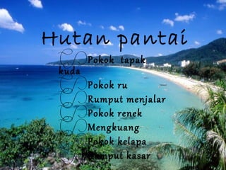 Hutan pantai
 Pokok tapak
 kuda
 Pokok ru
 Rumput menjalar
 Pokok renek
 Mengkuang
 Pokok kelapa
 Rumput kasar
 