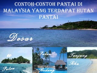 Contoh-Contoh pantai di
Malaysia yang terdapat hutan
           pantai



  Desar
  u       Pulau     Tanjung
                    Rhu
Pulau     Redang
 