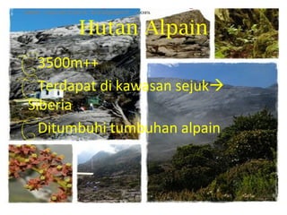 Hutan Alpain
3500m++
Terdapat di kawasan sejuk
 Siberia
Ditumbuhi tumbuhan alpain
 