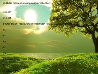 10. Hutan montane atas mempunyai ketinggian ________________.


Jawapan

1.Empat

2.Hutan Hujan Tropika,Hutan Pantai,Hutan Paya Bakau,Hutan Gunung

3.C

4.D

5.A

6.C

7.A

8.Hutan montane bawah,Hutan monatne atas,Hutan hampir alpain,Hutan alpain

9.C

10.1800m-2900m
 