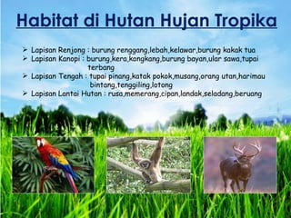 Habitat di Hutan Hujan Tropika
 Lapisan Renjong : burung renggang,lebah,kelawar,burung kakak tua
 Lapisan Kanopi : burung,kera,kongkang,burung bayan,ular sawa,tupai
                   terbang
 Lapisan Tengah : tupai pinang,katak pokok,musang,orang utan,harimau
                    bintang,tenggiling,lotong
 Lapisan Lantai Hutan : rusa,memerang,cipan,landak,seladang,beruang
 