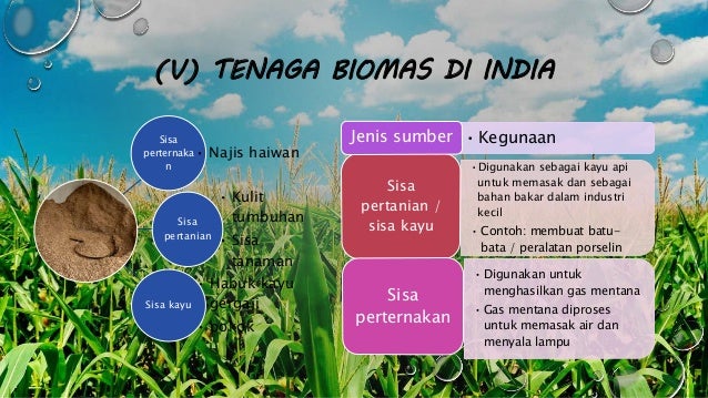 Biomas tenaga Pengajian Am