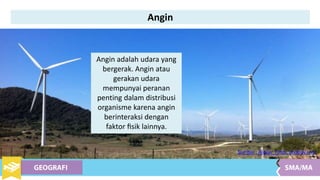 Angin adalah udara yang
bergerak. Angin atau
gerakan udara
mempunyai peranan
penting dalam distribusi
organisme karena angin
berinteraksi dengan
faktor ﬁsik lainnya.
Sumber : Alexas_Fotos, pixabay.com
Angin
 