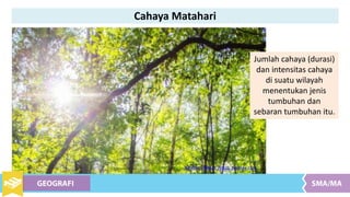 Cahaya Matahari
Jumlah cahaya (durasi)
dan intensitas cahaya
di suatu wilayah
menentukan jenis
tumbuhan dan
sebaran tumbuhan itu.
Sumber : Alexas_Fotos, pixabay.com
 