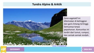 Tundra Alpine & Arktik
Zona vegetatif ini
ditemukan di ketinggian
dan garis lintang tertinggi.
Semuanya tanpa
pepohonan. Komunitas ini
terdiri dari lumut, rumput,
dan semak-semak rendah.
Sumber : en.wikipedia.org
 