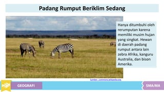 Hanya ditumbuhi oleh
rerumputan karena
memiliki musim hujan
yang singkat. Hewan
di daerah padang
rumput antara lain
zebra Afrika, kanguru
Australia, dan bison
Amerika.
Sumber : commons.wikipedia.org
Padang Rumput Beriklim Sedang
 