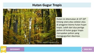 Hutan ini ditemukan di 150-200
lintang utara atau selatan atau
di pinggiran bioma hutan hujan
tropis. Lebih dari dua pertiga
pohon di hutan gugur tropis
merupakan pohon yang
menggugurkan daunnya.
Sumber : maxpixel.freegreatpicture.com
Hutan Gugur Tropis
 