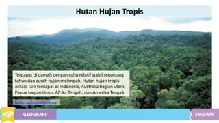 Terdapat di daerah dengan suhu relatif stabil sepanjang
tahun dan curah hujan melimpah. Hutan hujan tropis
antara lain terdapat di Indonesia, Australia bagian utara,
Papua bagian timur, Afrika Tengah, dan Amerika Tengah.
Sumber : commons.wikipedia.org
Hutan Hujan Tropis
 