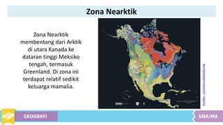 Zona Nearktik
membentang dari Arktik
di utara Kanada ke
dataran tinggi Meksiko
tengah, termasuk
Greenland. Di zona ini
terdapat relatif sedikit
keluarga mamalia.
Sumber:commons.wikipedia.org
Zona Nearktik
 