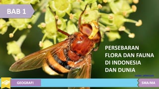 BAB 1
PERSEBARAN
FLORA DAN FAUNA
DI INDONESIA
DAN DUNIA
Sumber : pxhere.com
 