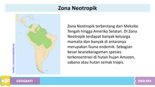 Zona Neotropik terbentang dari Meksiko
Tengah hingga Amerika Selatan. Di Zona
Neotropik terdapat banyak keluarga
mamalia dan banyak di antaranya
merupakan fauna endemik. Sebagian
besar keanekaragaman spesies
terkonsentrasi di hutan hujan Amazon,
sabana atau hutan semak tropis.
Sumber:commons.wikipedia.org
Zona Neotropik
 