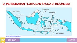 D. PERSEBARAN FLORA DAN FAUNA DI INDONESIA
Sumber : commons.wikipedia.org
 