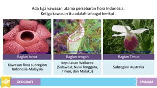 Ada tiga kawasan utama persebaran flora Indonesia.
Ketiga kawasan itu adalah sebagai berikut.
Sumber : commons.wikipedia.org
Bagian barat
Kawasan flora subregion
Indonesia-Malaysia
Kepulauan Wallacea
(Sulawesi, Nusa Tenggara,
Timor, dan Maluku)
Subregion Australia
Bagian Timur
Sumber : commons.wikipedia.org
Bagian tengah
Sumber : commons.wikipedia.org
 