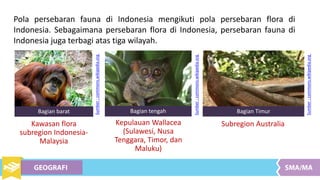 Pola persebaran fauna di Indonesia mengikuti pola persebaran flora di
Indonesia. Sebagaimana persebaran flora di Indonesia, persebaran fauna di
Indonesia juga terbagi atas tiga wilayah.
Sumber:commons.wikipedia.org
Sumber:commons.wikipedia.org
Bagian barat
Kawasan flora
subregion Indonesia-
Malaysia
Sumber:commons.wikipedia.org
Bagian tengah
Kepulauan Wallacea
(Sulawesi, Nusa
Tenggara, Timor, dan
Maluku)
Bagian Timur
Subregion Australia
 