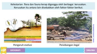 Kelestarian flora dan fauna kerap diganggu oleh berbagai kerusakan.
Kerusakan itu antara lain disebabkan oleh faktor-faktor berikut.
Sumber:commons.wikipedia.org
Pengaruh evolusi Penebangan ilegal
 