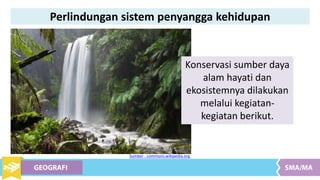 Konservasi sumber daya
alam hayati dan
ekosistemnya dilakukan
melalui kegiatan-
kegiatan berikut.
Sumber : commons.wikipedia.org
Perlindungan sistem penyangga kehidupan
 