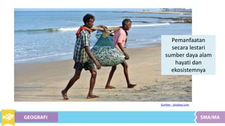 Pemanfaatan
secara lestari
sumber daya alam
hayati dan
ekosistemnya
Sumber : pixabay.com
 