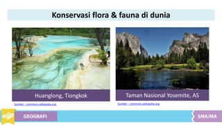 Huanglong, Tiongkok Taman Nasional Yosemite, AS
Sumber : commons.wikipedia.orgSumber : commons.wikipedia.org
Konservasi flora & fauna di dunia
 