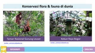 Taman Nasional Gunung Leuser Kebun Raya Bogor
Sumber : commons.wikipedia.orgSumber : commons.wikipedia.org
Konservasi flora & fauna di dunia
 