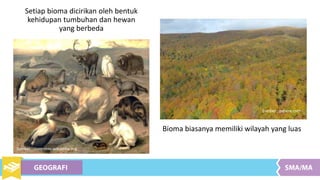 Setiap bioma dicirikan oleh bentuk
kehidupan tumbuhan dan hewan
yang berbeda
Bioma biasanya memiliki wilayah yang luas
Sumber : commons.wikipedia.org
Sumber : pxhere.com
 