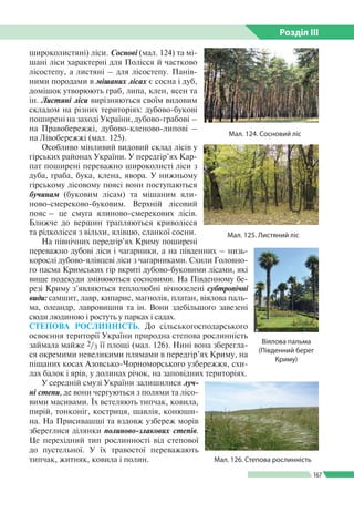 Розділ ІIІ
167
широколистяні) ліси. Соснові (мал. 124) та мі­
шані ліси характерні для Полісся й частково
лісостепу, а листяні – для лісостепу. Панів­
ними породами в мішаних лісах є сосна і дуб,
домішок утворюють граб, липа, клен, ясен та
ін. Листяні ліси вирізняються своїм видовим
складом на різних територіях: дубово-букові
поширені на заході України, дубово-грабові –
на Правобережжі, дубово-кленово-­липові –
на Лівобережжі (мал. 125).
Особливо мінливий видовий склад лісів у
гірських районах України. У передгір’ях Кар­
пат поширені переважно широколисті ліси з
дуба, граба, бука, клена, явора. У нижньому
гірському лісовому поясі вони поступаються
бучинам (буковим лісам) та мішаним яли­
ново-смереково-буковим. Верхній лісовий
пояс – це смуга ялиново-смерекових лісів.
Ближче до вершин трапляються криволісся
та рідколісся з вільхи, ялівцю, сланкої сосни.
На північних передгір’ях Криму поширені
переважно дубові ліси і чагарники, а на південних – низь­
корослі дубово-ялівцеві ліси з чагарниками. Схили Головно­
го пасма Кримських гір вкриті дубово-буковими лісами, які
вище подекуди змінюються сосновими. На Південному бе­
резі Криму з’являються теплолюбні вічнозелені субтропічні
види: самшит, лавр, кипарис, магнолія, платан, віялова паль­
ма, олеандр, лавровишня та ін. Вони здебільшого завезені
сюди людиною і ростуть у парках і садах.
СТЕПОВА РОСЛИННІСТЬ. До сільськогосподарського
освоєння території України природна степова рослинність
займала майже 2/3 ї ї площі (мал. 126). Нині вона зберегла­
ся окремими невеликими плямами в передгір’ях Криму, на
піщаних косах Азовсько-Чорноморського узбережжя, схи­
лах балок і ярів, у долинах річок, на заповідних територіях.
У середній смузі України залишилися луч­
ні степи, де вони чергуються з полями та лісо­
вими масивами. Їх встеляють типчак, ковила,
пирій, тонконіг, костриця, шавлія, конюши­
на. На Присивашші та вздовж узбереж морів
збереглися ділянки полиново-злакових степів.
Це перехідний тип рослинності від степової
до пустельної. У їх травостої переважають
тип­чак, житняк, ковила і полин.
Мал. 124. Сосновий ліс
Мал. 125. Листяний ліс
Мал. 126. Степова рослинність
Віялова пальма
(Південний берег
Криму)
 