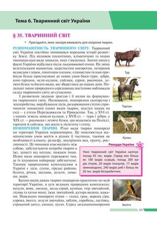 Розділ ІIІ
171
§ 35. ТВАРИННИЙ СВІТ
ŠŠ Пригадайте, яких заходів вживають для охорони тварин.
РІЗНОМАНІТНІСТЬ ТВАРИННОГО СВІТУ. Тваринний
світ України постійно змінювався впродовж історії розвит­
ку Землі. Під впливом геологічних, кліматичних та інших
чинників одні види зникали, інші з’являлися. Значні зміни у
фауні України відбулися після льодовикової епохи. На зміну
велетенським мамонтам, шерстистим носорогам, печерним
ведмедям і левам, північним оленям, плями­стим гієнам при­
йшли більш пристосовані до нових умов бики-тури, зубри,
коні-тарпани, осли-кулани, сайгаки, сарни, росомахи, ле­
тючі білки та багато видів, які збереглися до наших днів. По­
дальші зміни природного середовища поступово наближали
склад тваринного світу до сучасного.
З розвитком людини зростав і її вплив на формуван­
ня тваринного світу. Полювання, поширення скотарства і
землеробства, вирубування лісів, розорювання степів спри­
чинили знищення одних видів тварин, відступ інших на
схід – у степи Передкавказзя та Прикаспію. Так, у ХVІ ст.
з наших земель зникли кулани, у ХVІІ ст. – тури і зубри, у
ХІХ ст. – росомахи і летючі білки, що водилися на Поліссі,
тарпани й сайгаки, що жили в лісостепу і степу.
ПОШИРЕННЯ ТВАРИН. Різні види тварин поширені
по території України нерівномірно. Це пояснюється від­
мінностями умов життя в різних її частинах, такими як
особливості клімату, рельєфу, внутрішніх вод, ґрунту, рос­
линності. Ці чинники взаємодіють між
собою, забезпечуючи потреби тварин в
їжі, захисті від негоди, хижаків тощо.
Певні види поширені переважно там,
де їх існування найкраще забезпечене.
Такими природними комплексами в
Україні є ліси, степи, гірські райони,
болота, річки, заплави, дельти, лима­
ни, моря.
Багато видів диких тварин поширено практично по всій
території України, в усіх великих природних комплексах:
козуля, вовк, лисиця, заєць сірий, куниця, тхір звичайний,
лісова та хатня миші, їжак звичайний, кутора водяна, кажа­
ни. Повсюдно поширені птахи – галка, грак, ворона сіра,
сорока, іволга, зозуля звичайна, зяблик, горобець, ластівка,
строкатий дятел, синиці, пугач. Серед загальнопоширених
Тема 6. Тваринний світ України
Тур
Тарпан
Кулан
Нині тваринний світ України налічує
понад 45 тис. видів. Серед них більш
як 100 видів ссавців, понад 300 ви­
дів птахів, 20 видів плазунів, 17 видів
земноводних, 240 видів риб і більш як
26 тис. видів безхребетних.
Рекорди України
Іволга
 