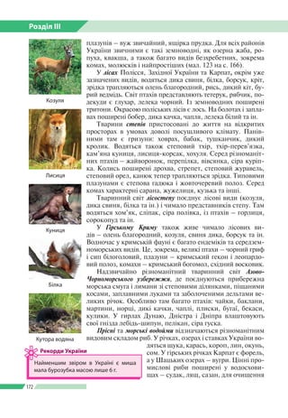 Розділ ІІI
172
плазунів – вуж звичайний, ящірка прудка. Для всіх районів
України звичними є такі земноводні, як озерна жаба, ро­
пуха, квакша, а також багато видів безхребетних, зокрема
комах, молюсків і найпростіших (мал. 123 на с. 166).
У лісах Полісся, Західної України та Карпат, окрім уже
зазначених видів, водяться дика свиня, білка, борсук, кріт,
зрідка трапляються олень благородний, рись, дикий кіт, бу­
рий ведмідь. Світ птахів представляють тетерук, рябчик, по­
декуди є глухар, лелека чорний. Із земноводних поширені
тритони. Окрасою поліських лісів є лось. На болотах і запла­
вах поширені бобер, дика качка, чапля, лелека білий та ін.
Тварини степів пристосовані до життя на відкритих
просторах в умовах доволі посушливого клімату. Панів­
ними там є гризуни: ховрах, бабак, тушканчик, дикий
кролик. Водяться також степовий тхір, тхір-перев’язка,
кам’яна куниця, лисиця-корсак, хохуля. Серед різноманіт­
них птахів – жайворонок, перепілка, вівсянка, сіра куріп­
ка. Колись поширені дрохва, стрепет, степовий журавель,
степовий орел, канюк тепер трапляються зрідка. Типовими
плазунами є степова гадюка і жовточеревий полоз. Серед
комах характерні сарана, жужелиця, кузька та інші.
Тваринний світ лісостепу поєднує лісові види (козуля,
дика свиня, білка та ін.) і чимало представників степу. Там
водяться хом’як, сліпак, сіра полівка, із птахів – горлиця,
сорокопуд та ін.
У Гірському Криму також живе чимало лісових ви­
дів – олень благородний, козуля, свиня дика, борсук та ін.
Водночас у кримській фауні є багато ендеміків та середзем­
номорських видів. Це, зокрема, великі птахи – чорний гриф
і сип білоголовий, плазуни – кримський гекон і леопардо­
вий полоз, комахи – кримський богомол, східний восковик.
Надзвичайно різноманітний тваринний світ Азово-­
Чорноморського узбережжя, де поєднуються прибережна
морська смуга і лимани зі степовими ділянками, піщаними
косами, заплавними луками та заболоченими дельтами ве­
ликих річок. Особливо там багато птахів: чайки, баклани,
мартини, норці, дикі качки, чаплі, плиски, бугаї, бекаси,
кулики. У гирлах Дунаю, Дністра і Дніпра влаштовують
свої гнізда лебідь-шипун, пелікан, сіра гуска.
Прісні та морські водойми відзначаються різноманітним
видовим складом риб. У річках, озерах і ставках України во­
дяться щука, карась, короп, лин, окунь,
сом. У гірських річках Карпат є форель,
а у Шацьких озерах – вугри. Цінні про­
мислові риби поширені у водосхови­
щах – судак, лящ, сазан, для очищення
Козуля
Лисиця
Куниця
Білка
Найменшим звіром в Україні є миша
мала бурозубка масою лише 6 г.
Рекорди України
Кутора водяна
 