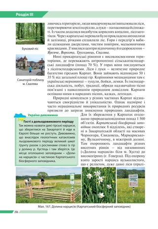 Розділ ІІI
206
ляючисьтериторією,людивикорчовувалиівипалювалиліси,
перетворюючиземлінаріллю,алуки–напасовищайсіножа­
ті. Із часом додалися видобуток корисних копалин, лісозаго­
тівля.Черезкарпатськіперевалибулопрокладеноавтошляхи
й залізниці, річками сплавляли ліс. Гори і передгір’я ваби­
ли цілющими джерелами, чистим повітрям, мальовничими
краєвидами. З’явилися центри відпочинку й оздоровлення –
Яремче, Ворохта, Трускавець, Свалява.
Нині прикарпатські рівнини є високоосвоєними тери­
торіями, де переважають антропогенні сільськогосподар­
ські ландшафти (понад 70 %). У горах вони поєднуються
з лісогосподарськими. Ліси і луки – величезне природне
багатство гірських Карпат. Вони займають відповідно 50 і
35 % від загальної площі гір. Корінними мешканцями там є
українські верховинці  –  гуцули, бойки, лемки. Їх господар­
ська діяльність, побут, традиції, обряди надзвичайно тісно
пов’язані з навколишнім природним довкіллям. Карпати
оспівано ними в народних піснях, казках, легендах.
Природні комплекси у різних частинах Карпат відзна­
чаються своє­рідністю й унікальністю. Однак надмірне і
часто нераціональне використання їх природних ресурсів
призвели до загрози зникнення природних ландшафтів.
Для їх збереження у Карпатах оголо­
шено природозаповідними понад 1 500
об’єктів. Карпатський біосферний запо-
відник охоплює 8 відділень, які створе­
ні в Закарпатській області на масивах
Чорногора, Свидовець, Мармаросько­
му, Вулканічному, в міжгірній долині.
Там охороняють ландшафти різних
висотних рівнів – від низовинних
(«Долина нарцисів» біля м. Хуста) до
високогірних (г. Говерла). Під охорону
взято зарості нарциса вузьколистого,
що є реліктом, дуже давні ліси (пралі­
Мал. 167. Долина нарцисів (Карпатський біосферний заповідник)
Гості з дольодовикового періоду
Так можна назвати дикі гірські нарциси,
що збереглися на Закарпатті й ніде в
Європі більше не ростуть. Дивовижно,
що внаслідок геологічних катаклізмів
льодовикового періоду великий шмат
ґрунту разом з рослинами сповз із гір
у долину р. Хустець і там зберігся. Це
місце оголошено заповідним – «Доли­
на нарцисів» є частиною Карпатського
біосферного заповідника.
Україна дивовижна
Буковий ліс
Санаторій поблизу
м. Свалява
 