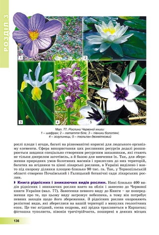 РОЗДІЛРОЗДІЛ33
136
ðîñëі ïëîäè і ÿãîäè, áàãàòі íà ðіçíîìàíіòíі êîðèñíі äëÿ ëþäñüêîãî îðãàíіç-
ìó åëåìåíòè. Ñôåðà âèêîðèñòàííÿ öèõ ðîñëèííèõ ðåñóðñіâ äåäàëі ðîçøè-
ðþєòüñÿ çàâäÿêè ñïåöіàëüíî ñòâîðåíèì ðåñóðñíèì çàêàçíèêàì, ÿêі ñòàþòü
íå òіëüêè äæåðåëîì çàãîòіâåëü, à é áàçîþ äëÿ âèâ÷åííÿ їõ. Òàê, äëÿ çáåðå-
æåííÿ ïðèðîäíèõ óìîâ áîëîòÿíèõ ìàñèâіâ і ïðèëåãëèõ äî íèõ òåðèòîðіé,
áàãàòèõ íà ÿãіäíèêè òà öіííі ëіêàðñüêі ðîñëèíè, â Óêðàїíі âèäіëåíî і âçÿ-
òî ïіä îõîðîíó äіëÿíêè ïëîùåþ áëèçüêî 90 òèñ. ãà. Òàê, ó Òåðíîïіëüñüêіé
îáëàñòі ñòâîðåíî Ïî÷àїâñüêèé і Ãàëèöüêèé áîòàíі÷íі ñàäè ëіêàðñüêèõ ðîñ-
ëèí.
 Книга рідкісних і зникаючих видів рослин. Íèíі áëèçüêî 400 âè-
äіâ ðіäêіñíèõ і çíèêàþ÷èõ ðîñëèí âçÿòî íà îáëіê і çàíåñåíî äî ×åðâîíîї
êíèãè Óêðàїíè (ìàë. 77). Çàíåñåííÿ ïåâíîãî âèäó äî Êíèãè – öå ïîïåðåä-
æåííÿ ïðî òå, ùî öüîìó âèäó çàãðîæóє íåáåçïåêà, à òîìó âіí ïîòðåáóє
ïåâíèõ çàõîäіâ ùîäî éîãî çáåðåæåííÿ. Ç ðіäêіñíèõ ðîñëèí îõîðîíÿþòü
ðåëіêòîâі âèäè, ÿêі çáåðåãëèñÿ íà íàøіé òåðèòîðії ç ìèíóëèõ ãåîëîãі÷íèõ
åïîõ. Öå òèñ ÿãіäíèé, ñîñíà êåäðîâà, ÿêі çðіäêà òðàïëÿþòüñÿ â Êàðïàòàõ;
ôіñòàøêà òóïîëèñòà, ïіâîíіÿ òðè÷іòðіé÷àñòà, ïîøèðåíі â äåÿêèõ ìіñöÿõ
Мал. 77. Рослини Червоної книги:
1 – шафран; 2 – латаття біле; 3 – півники болотяні;
4 – зозулинець; 5 – тюльпан двоквітковий
1
3
2
54
 