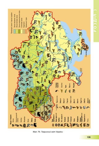 РОЗДІЛРОЗДІЛ33
139
Мал. 79. Тваринний світ України
 