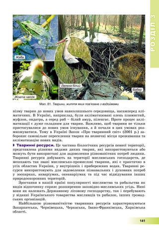 РОЗДІЛРОЗДІЛ33
141
íіçìó òâàðèí äî íîâèõ óìîâ íàâêîëèøíüîãî ñåðåäîâèùà, íàñàìïåðåä êëі-
ìàòè÷íèõ. Â Óêðàїíі, íàïðèêëàä, áóëè àêëіìàòèçîâàíі îëåíü ïëÿìèñòèé,
ìóôëîí, îíäàòðà, à ñåðåä ðèá – áіëèé àìóð, ïіëåíãàñ. Ïðîòå ïðîöåñ àêëі-
ìàòèçàöії є äóæå ñêëàäíèì äëÿ òâàðèí. Âàæëèâî, ùîá òâàðèíè íå òіëüêè
ïðèñòîñóâàëèñÿ äî íîâèõ óìîâ іñíóâàííÿ, à é ïî÷àëè â öèõ óìîâàõ ðîç-
ìíîæóâàòèñÿ. Òîìó â Óêðàїíі Çàêîí «Ïðî òâàðèííèé ñâіò» (2001 ð.) çà-
áîðîíÿє ñàìîâіëüíå ïåðåñåëåííÿ òâàðèí íà íåçâè÷íі ìіñöÿ ïðîæèâàííÿ òà
àêëіìàòèçàöіþ íîâèõ âèäіâ.
 Тваринні ресурси. Öå ÷àñòèíà áіîëîãі÷íèõ ðåñóðñіâ ïåâíîї òåðèòîðії,
ïðåäñòàâëåíà ðіçíèìè âèäàìè äèêèõ òâàðèí, ÿêі âèêîðèñòîâóþòüñÿ àáî
ìîæóòü áóòè âèêîðèñòàíі äëÿ çàäîâîëåííÿ ðіçíîìàíіòíèõ ïîòðåá ëþäèíè.
Òâàðèííі ðåñóðñè äîáóâàþòü íà òåðèòîðії ìèñëèâñüêèõ ãîñïîäàðñòâ, äå
ìåøêàþòü òàê çâàíі ìèñëèâñüêî-ïðîìèñëîâі òâàðèíè, ÿêі є ïðàêòè÷íî â
óñіõ îáëàñòÿõ Óêðàїíè, ó âíóòðіøíіõ і ïðèáåðåæíèõ âîäàõ. Òâàðèííі ðå-
ñóðñè âèêîðèñòîâóþòü äëÿ çàäîâîëåííÿ ïіçíàâàëüíèõ і äóõîâíèõ ïîòðåá
ó çîîïàðêàõ, àêâàðіóìàõ, îêåàíàðіóìàõ òà ïіä ÷àñ âіäâіäóâàííÿ іíøèõ
ïðèðîäîîõîðîííèõ òåðèòîðіé.
Çðîñòàííÿ â íàøіé êðàїíі ïîïóëÿðíîñòі ìèñëèâñòâà òà ðèáàëüñòâà ÿê
âèäіâ âіäïî÷èíêó ñïðèÿє ðîçøèðåííþ çàïîâіäíî-ìèñëèâñüêèõ óãіäü. Íèíі
âîíè ÿê íàëåæàòü Äåðæàâíîìó ëіñîâîìó ãîñïîäàðñòâó, òàê і ïåðåáóâàþòü
ó âіäàííі Óêðàїíñüêîãî òîâàðèñòâà ìèñëèâöіâ òà ðèáàëîê, іíøèõ ãðîìàä-
ñüêèõ îðãàíіçàöіé.
Íàéáіëüøîþ ðіçíîìàíіòíіñòþ òâàðèííèõ ðåñóðñіâ õàðàêòåðèçóþòüñÿ
Çàêàðïàòñüêà, ×åðíіâåöüêà, ×åðêàñüêà, Іâàíî-Ôðàíêіâñüêà, Õàðêіâñüêà
îáëàñòі.
Мал. 81. Тварини, життя яких пов’язане з водоймами
Жаба
Жовта чапля
Бобер
Лелека білий
 