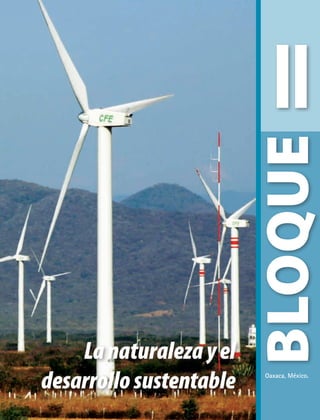 II
BLOQUE
Oaxaca, México.
Lanaturalezayel
desarrollosustentable
AB-GEO-6-P-042-075_2014_2015.indd 43 17/02/14 16:38
 