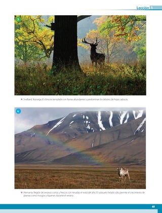 49
Lección
ΕΕ Svalbard, Noruega. El clima es templado con lluvias abundantes y predominan los árboles de hojas caducas.
ΕΕ Alemania. Región de veranos cortos y frescos con nevadas el resto del año. El subsuelo helado sólo permite el crecimiento de
plantas como musgos y líquenes durante el verano.
3
4
1
AB-GEO-6-P-042-075_2014_2015.indd 49 17/02/14 16:38
 