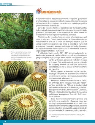 54
IIBloque
A la gran diversidad de especies animales y vegetales que existen
enelplanetaseleconocecomobiodiversidad.Éstaesconsecuencia
de la variedad de condiciones naturales en el espacio geográfico
y la evolución de las especies.
Cerca del ecuador el clima se caracteriza por lluvias constantes
todoelañoytemperaturaselevadasquecreanunambientecálido
y húmedo favorable para el crecimiento de las selvas, donde se
localizan numerosas especies vegetales y animales.
Al alejarnos del ecuador, hacia los polos, la lluvia escasea y el
clima es más seco. En esta zona desértica se desarrollan especies
muy diferentes a las de la selva; por ejemplo, arbustos que en
vez de hojas tienen espinas para evitar la pérdida de humedad
y otras que conservan agua en su interior, como las biznagas.
En estos ambientes disminuye mucho la variedad de especies
vegetales por la falta de humedad.
A latitudes mayores, entre 50º y 60º, aproximadamente, se
localizanlosbosquesdeconíferas.Debidoalaslluviasabundantes
y bajas temperaturas, las hojas de los árboles son delgadas, pero
verdes y flexibles, por donde resbalan el agua
y la nieve. Esta región natural, que se extiende
en Europa y América del Norte, es de las más
estudiadas, por ello se conoce un mayor número
de especies.
Menos especies se observan cerca de los polos.
Las bajas temperaturas durante el año limitan el
crecimientodeplantasyanimalesquedesarrollan
mecanismos de sobrevivencia.
Existe una extensa biodiversidad en la Tierra;
sin embargo, de los casi 200 países, sólo 12 con-
centran alrededor de 70% de la biodiversidad
del mundo, de ahí que se les llame megadiversos.
Esos países son: Brasil, Perú, Ecuador, Colombia,
México, Estados Unidos, República Democrática
del Congo, Madagascar, Australia, Indonesia,
India y China.
Cada modificación del ambiente provoca una
variación en la vegetación y fauna; de modo que
unaregiónquepresentevariedadenlascondiciones
naturales,comoclima,relieve,tipoderocas,presencia
deríos,entreotros,seráfavorableparaeldesarrollode
unagranvariedaddeespeciesvegetalesyanimales.
ΕΕ Reserva forestal, Santa Elena, Costa
Rica. Las hojas de las plantas que
crecen en los bosques tropicales
son grandes para absorber la mayor
cantidad de agua.
ΕΕ Las cactáceas no tienen hojas sino espinas que les ayudan a
ahorrar agua.
Aprendamos más
AB-GEO-6-P-042-075_2014_2015.indd 54 17/02/14 16:38
 