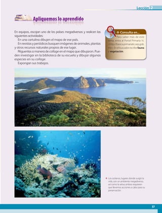 Apliquemos lo aprendido
57
Lección 2
En equipos, escojan uno de los países megadiversos y realicen las
siguientes actividades:
En una cartulina dibujen el mapa de ese país.
En revistas y periódicos busquen imágenes de animales, plantas
y otros recursos naturales propios de ese lugar.
Péguenlas a manera de collage en el mapa que dibujaron. Pue-
den investigar en la biblioteca de su escuela y dibujar algunas
especies en su collage.
Expongan sus trabajos.
ΕΕ Los océanos, lugares donde surgió la
vida, son un ambiente megadiverso,
así como la selva; ambos requieren
que llevemos acciones a cabo para su
preservación.
✥ Consulta en...
Para saber más de este
tema, entra al Portal Primaria tic
http://basica.primariatic.sep.gob.
mx.Enelbuscadorescribefauna
y vegetación.
AB-GEO-6-P-042-075_2014_2015.indd 57 17/02/14 16:38
 