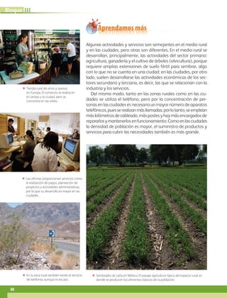 Aprendamos más
IIIBloque
88
Algunas actividades y servicios son semejantes en el medio rural
y en las ciudades, pero otras son diferentes. En el medio rural se
desarrollan, principalmente, las actividades del sector primario:
agricultura, ganadería y el cultivo de árboles (silvicultura), porque
requiere amplias extensiones de suelo fértil para sembrar, algo
con lo que no se cuenta en una ciudad; en las ciudades, por otro
lado, suelen desarrollarse las actividades económicas de los sec-
tores secundario y terciario, es decir, las que se relacionan con la
industria y los servicios.
Del mismo modo, tanto en las zonas rurales como en las ciu-
dades se utiliza el teléfono, pero por la concentración de per-
sonas en las ciudades es necesario un mayor número de aparatos
telefónicos,puesserealizanmásllamadas;porlotanto,seemplean
más kilómetros de cableado, más postes y hay más encargados de
repararlosymantenerlosenfuncionamiento.Comoenlasciudades
la densidad de población es mayor, el suministro de productos y
servicios para cubrir las necesidades también es más grande.
ΕΕ Tienda rural de vinos y quesos
en Europa. El comercio se realiza en
el campo y la ciudad, pero se
concentra en las urbes.
ΕΕ Las oficinas proporcionan servicios como
la realización de pagos, planeación de
proyectos y actividades administrativas,
por lo que su desarrollo es mayor en las
ciudades.
ΕΕ En la zona rural también existe el servicio
de telefonía, aunque es escaso.
ΕΕ Sembradío de caña en México. El paisaje agrícola es típico del espacio rural, es
donde se producen los alimentos básicos de la población.
AB-GEO-6-P-076-109_2014_2015.indd 88 17/02/14 16:40
 
