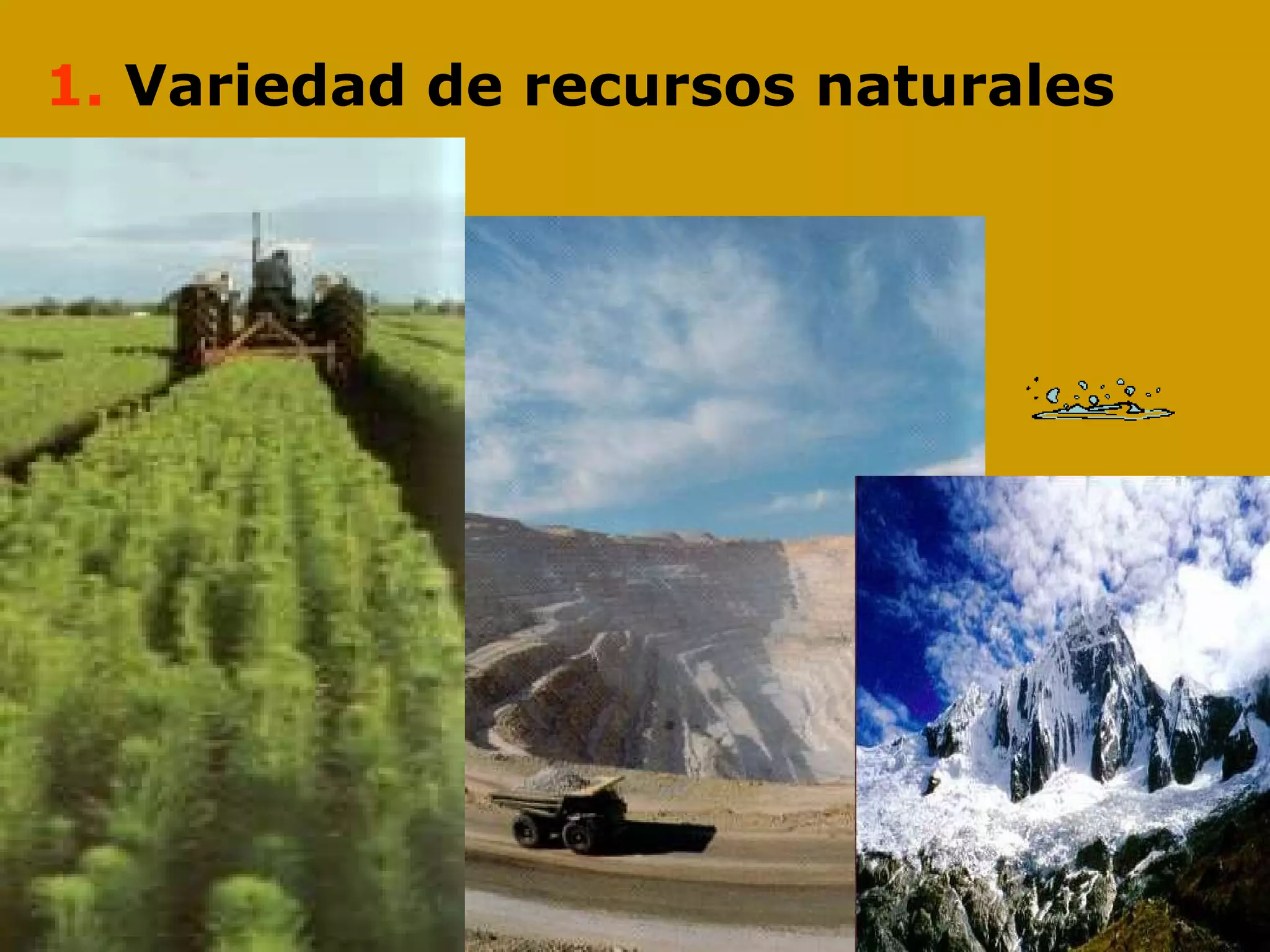1.  Variedad de recursos naturales 