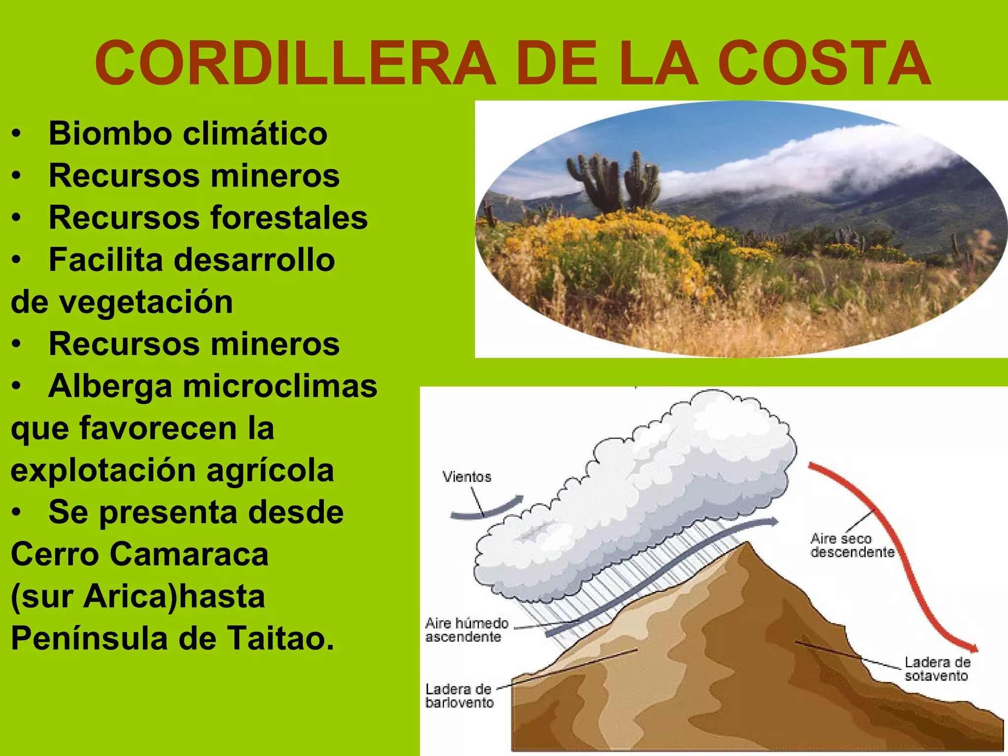 CORDILLERA DE LA COSTA Biombo climático Recursos mineros Recursos forestales Facilita desarrollo de vegetación Recursos mineros Alberga microclimas  que favorecen la explotación agrícola Se presenta desde Cerro Camaraca  (sur Arica)hasta  Península de Taitao.                                     