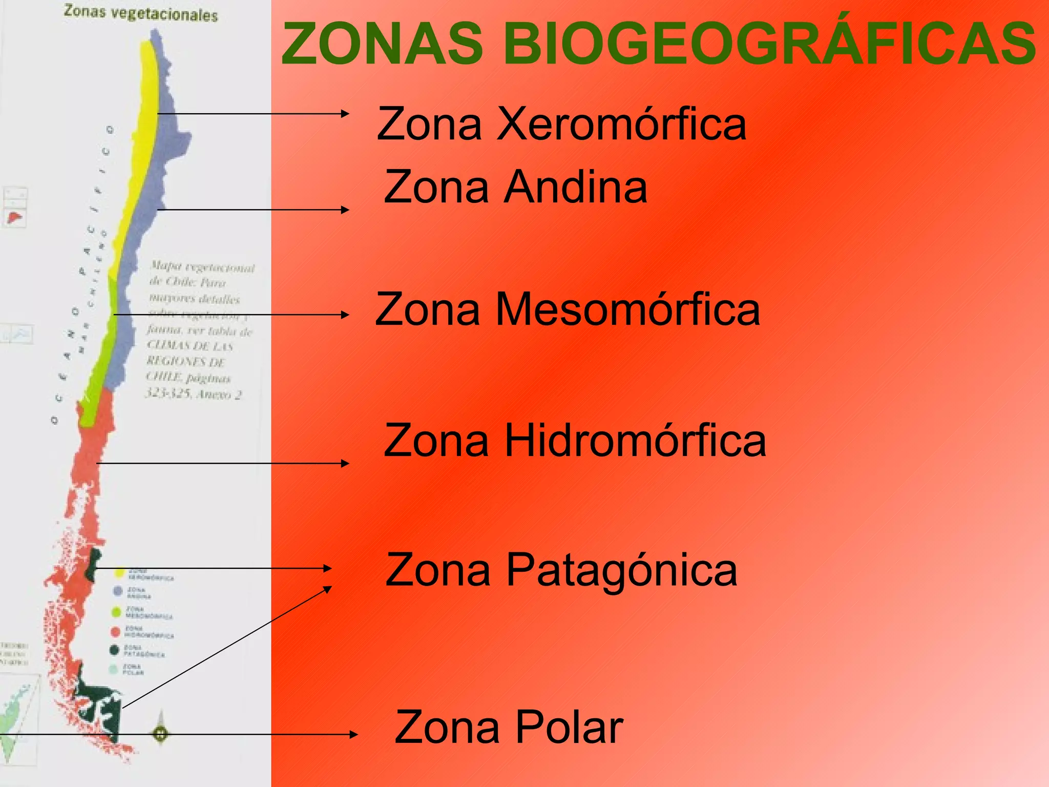 Zona Xeromórfica Zona Andina Zona Mesomórfica Zona Hidromórfica Zona Patagónica Zona Polar ZONAS BIOGEOGRÁFICAS 
