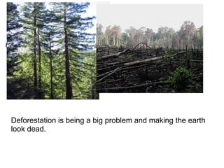  ,[object Object],  Deforestation is being a big problem and making the earth look dead. 