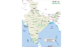 Geographical details of tiger reserves in india | PPTX